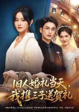 旧人婚礼当天，我携三子送贺礼海报