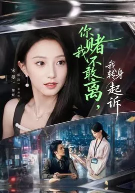 你赌我不敢离，我转身起诉海报