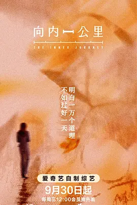 向内一公里海报