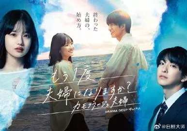 再做一次夫妇的夫妇海报